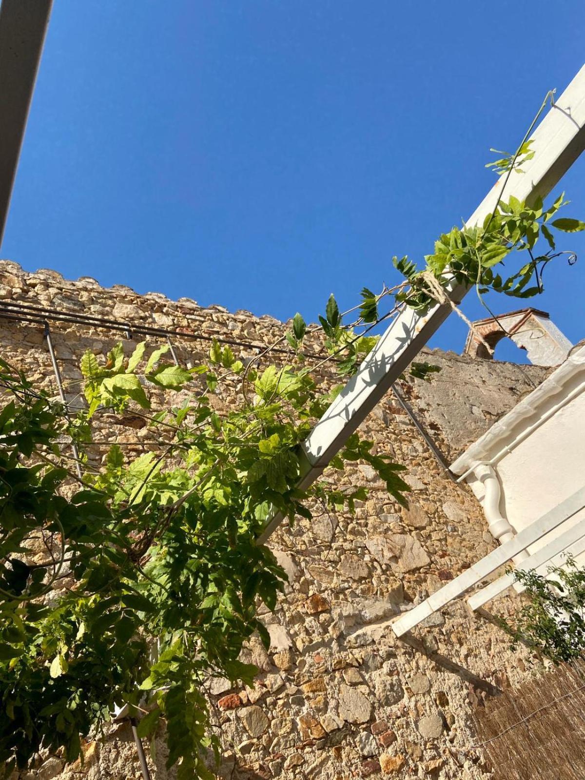 Ecoturisme Mas Ribas Hotell Palamós Eksteriør bilde