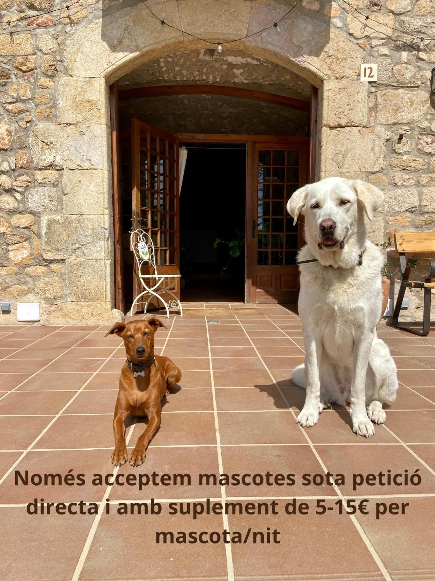 Ecoturisme Mas Ribas Hotell Palamós Eksteriør bilde
